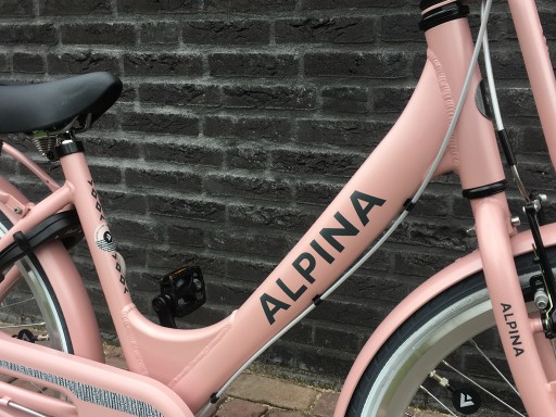 Alpina Clubb M 24 inch Desert Pink Matt - Alpina_Clubb_24_Desert_Pink_matt_2.jpg