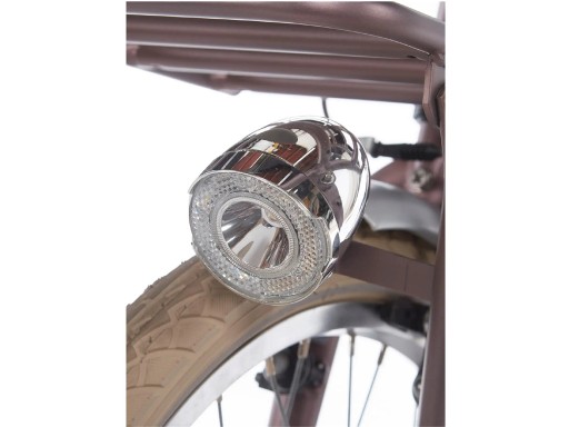 Alpina Cargo 22 inch Wood Rose Matt - ACGM22WRM_8.jpg